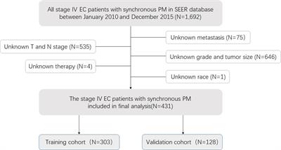 A nomogram model to individually predict prognosis for esophageal cancer with synchronous pulmonary metastasis